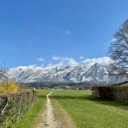 Roemer Mit Sonniger Terrasse