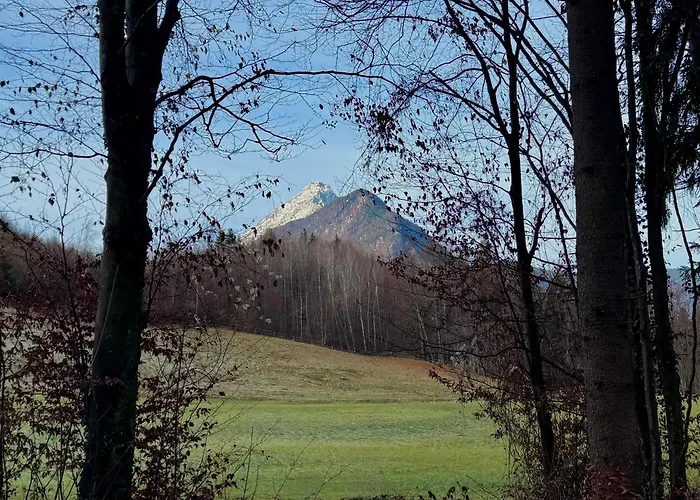 Lejlighed Roemer Mit Sonniger Terrasse Bad Reichenhall